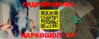 прущие крисы Кингисепп