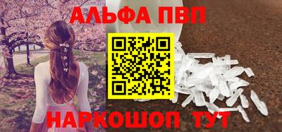 прущие крисы Кингисепп