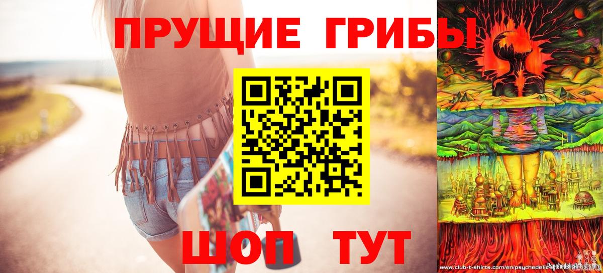 Псилоцибиновые грибы MAGIC MUSHROOMS Карталы