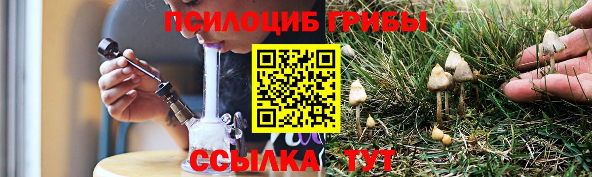 Карталы  Псилоцибиновые грибы Psilocybe  Вход с VPN 