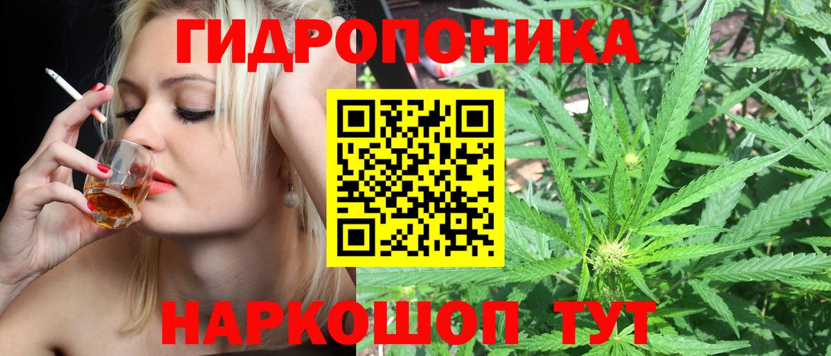 Бошки марихуана конопля Карталы